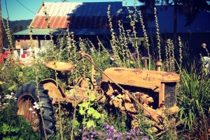 Portland: Hoodin päiväretki