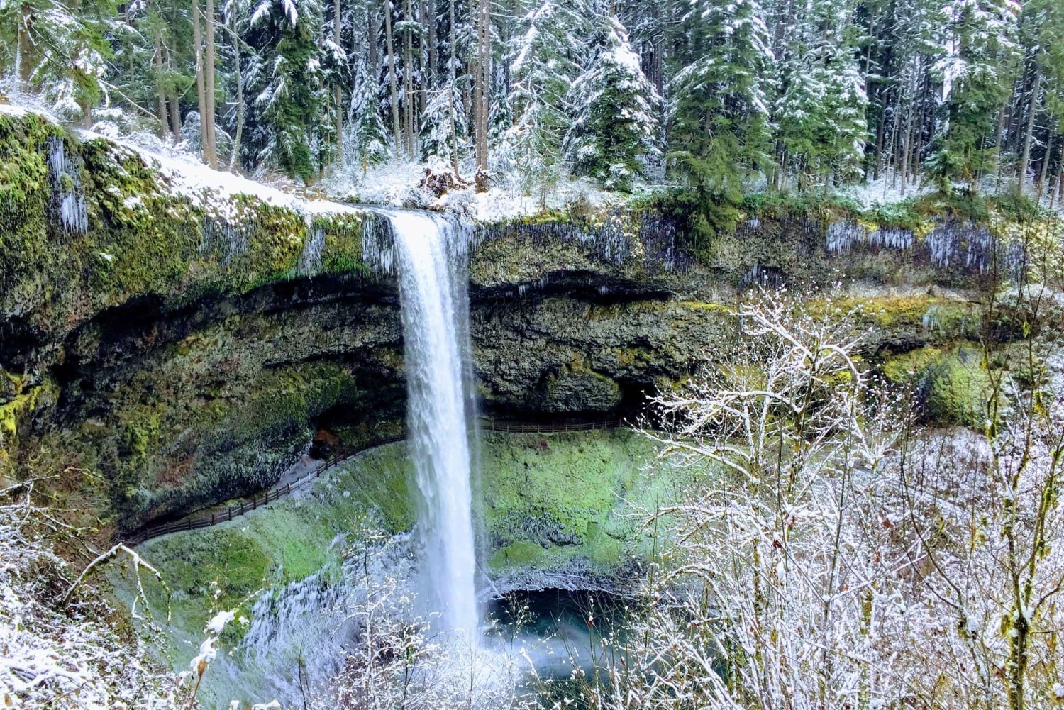 ポートランド：シルバーフォールズハイキング