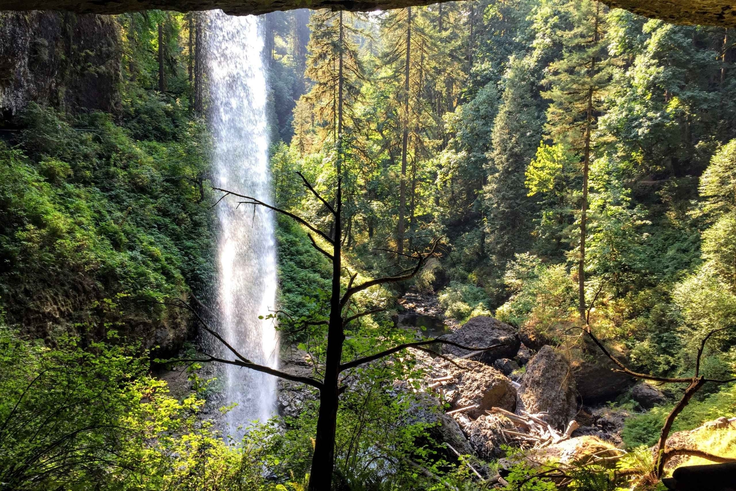 ポートランド：シルバーフォールズハイキング