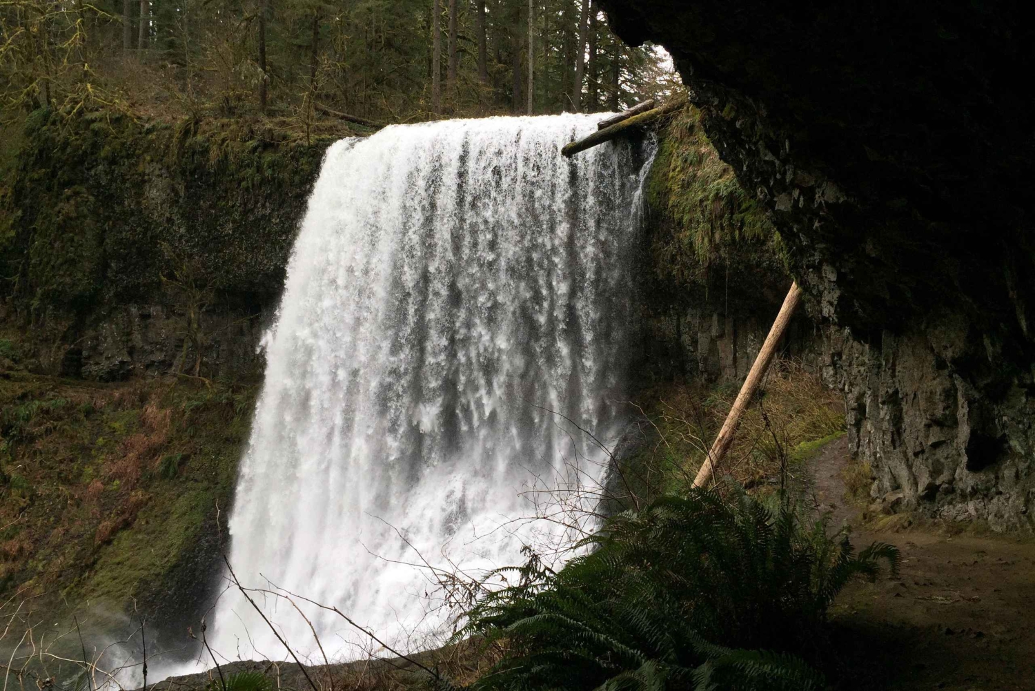 ポートランド：シルバーフォールズハイキング