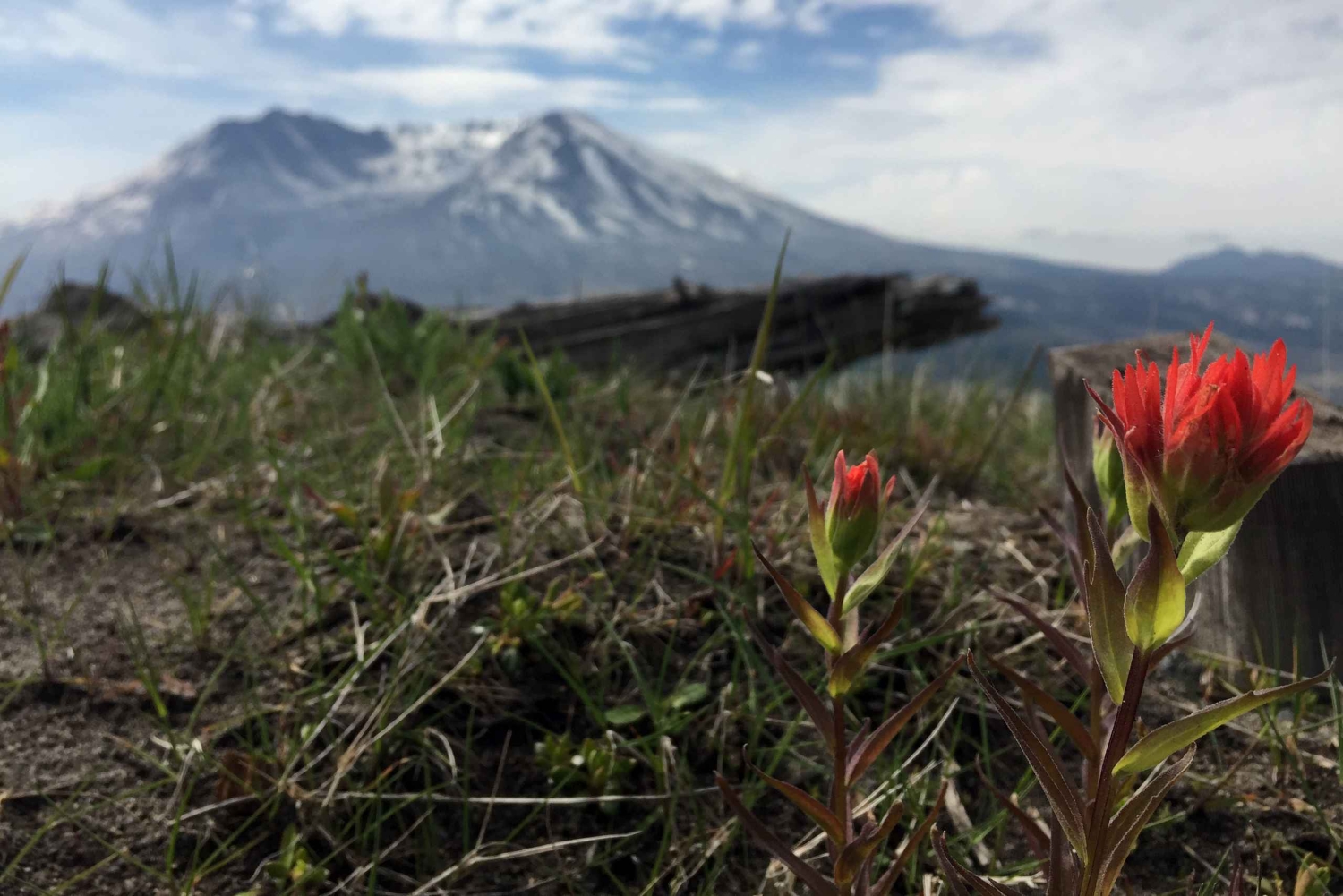 Portland: A excursão de aventura ao Mt. St. Helens