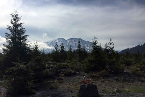 Portland: A excursão de aventura ao Mt. St. Helens