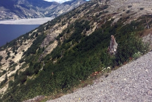 Portland: A excursão de aventura ao Mt. St. Helens