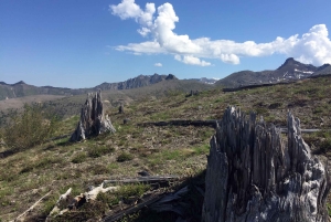 Portland: A excursão de aventura ao Mt. St. Helens