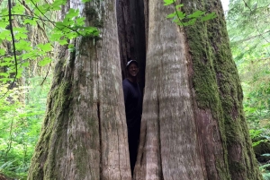 Portland: A excursão de aventura ao Mt. St. Helens
