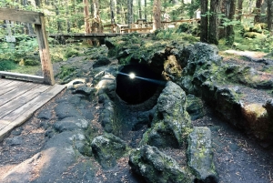 Portland: A excursão de aventura ao Mt. St. Helens