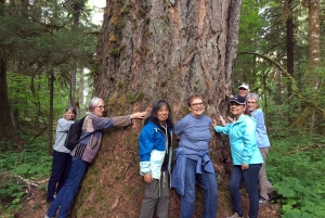 Portland: A excursão de aventura ao Mt. St. Helens