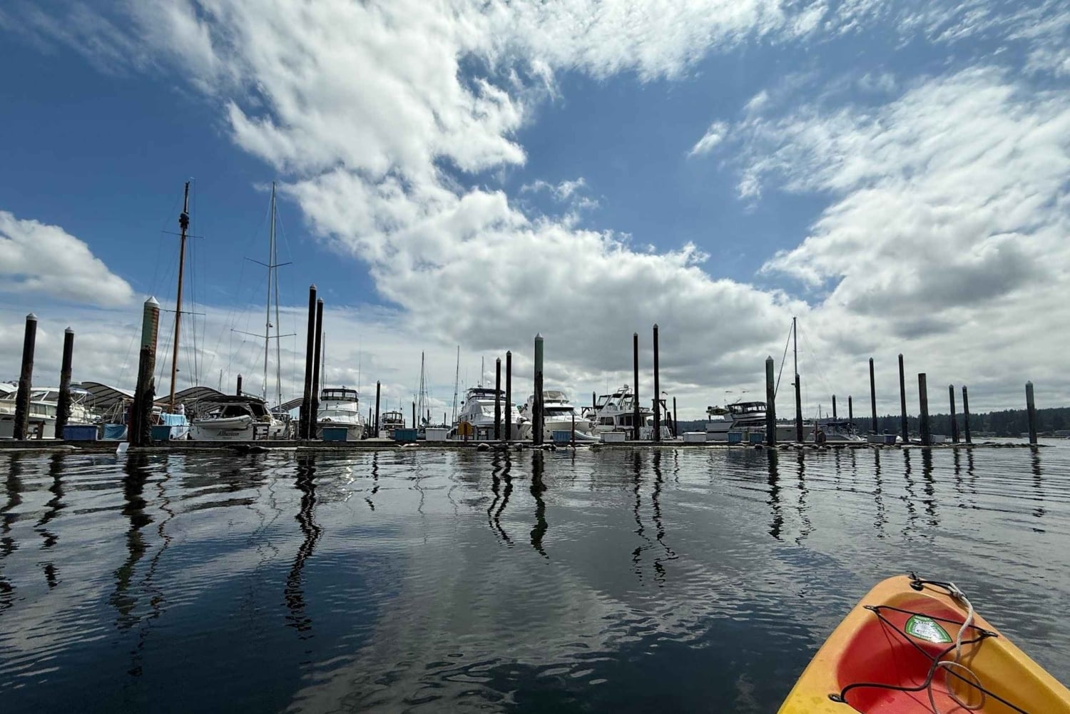 Poulsbo: Liberty Bay Guided Kayak Tour with Wildlife