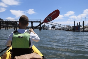 Poulsbo: Liberty Bay Guided Kayak Tour with Wildlife