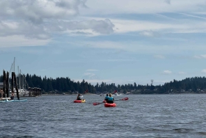 Poulsbo: Liberty Bay Guided Kayak Tour with Wildlife