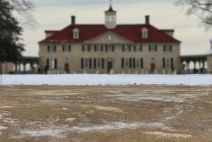 Visite privée du cimetière d'Arlington et de Mount Vernon