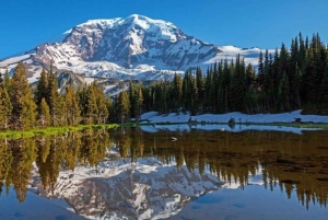 Privat tur till Mount Rainier från Portland