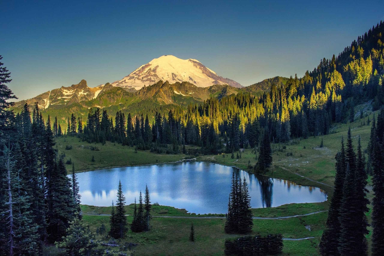 レイニア山国立公園の氷河と滝を訪れる1日ツアー（プライベート）