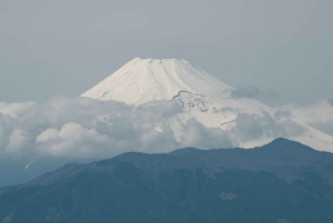 レイニア山国立公園の氷河と滝を訪れる1日ツアー（プライベート）