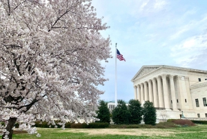 Private Photoshoot Outside the White House & Supreme Court