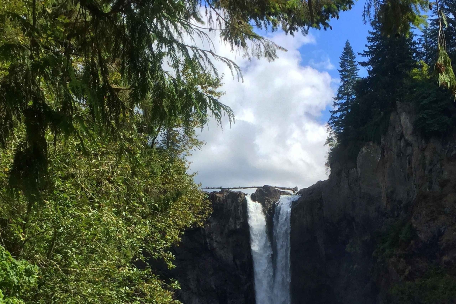 Visite privée des chutes de Snoqualmie en SUV