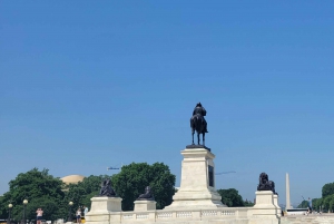 Private Washington DC Grand Tour with Changing of the Guard.