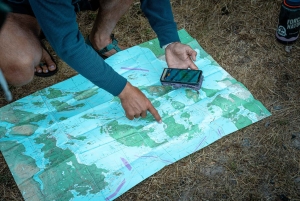サンファン島グリフィン湾3時間ツアー