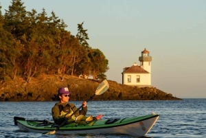 Isola di San Juan: Tour di mezza giornata o di una giornata intera in kayak a Lime Kiln
