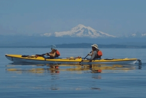 Isola di San Juan: Tour di mezza giornata o di una giornata intera in kayak a Lime Kiln