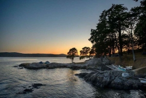 Isola di San Juan: Tour di mezza giornata o di una giornata intera in kayak a Lime Kiln