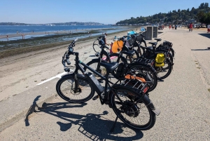 Seattle : visite de la ville en vélo électrique de 2 h 30