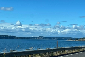 Seattle : visite de la ville en vélo électrique de 2 h 30