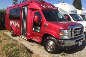 Seattle: 3-tunnin kaupunkikierros