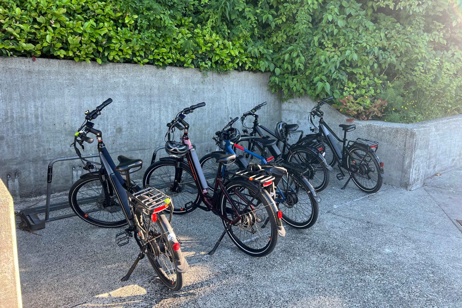 Seattle: tour standard in bicicletta della Città di Smeraldo di 3 ore