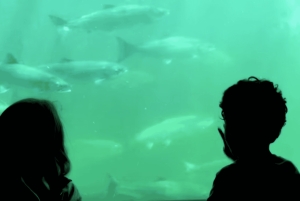 Seattle: tour standard in bicicletta della Città di Smeraldo di 3 ore