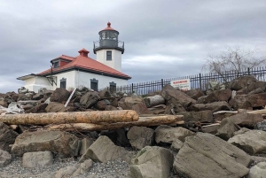 Seattle: 3 tunnin sähköpyöräretki Länsi-Seattleen