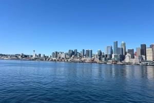 Seattle: 3 tunnin sähköpyöräretki Länsi-Seattleen