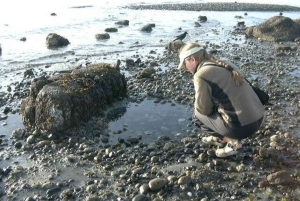 Seattle: Alki Lighthouse Sea Kayak Tour