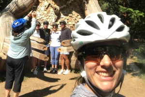 Seattle: wycieczka rowerem elektrycznym po wyspie Bainbridge