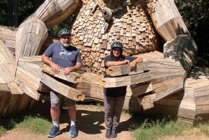 Seattle: wycieczka rowerem elektrycznym po wyspie Bainbridge