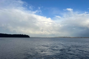 Seattle: wycieczka rowerem elektrycznym po wyspie Bainbridge