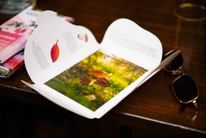 Seattle: Ruta del Chocolate con Degustaciones