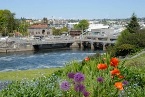 シアトル：シティハイライトツアー