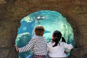 Seattle CityPASS®: Poupa até 46% em 5 atracções de topo