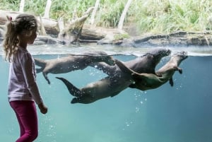 Seattle CityPASS®: Poupa até 46% em 5 atracções de topo