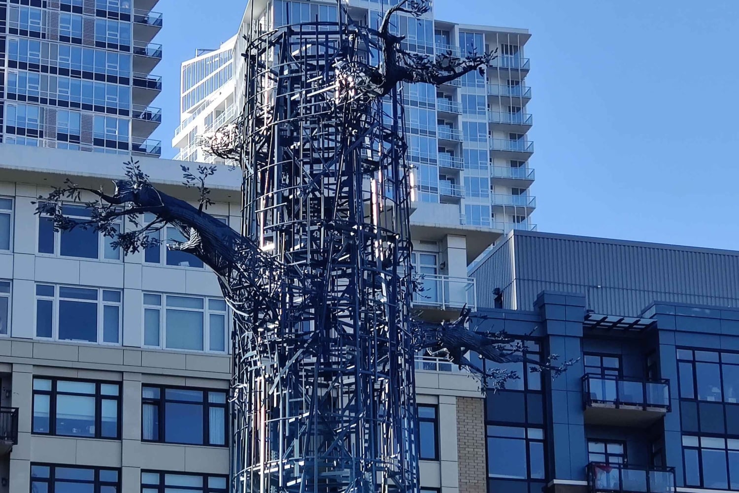 Seattle: kaupungin pisin historiallinen ja kulttuurinen kävelykierros