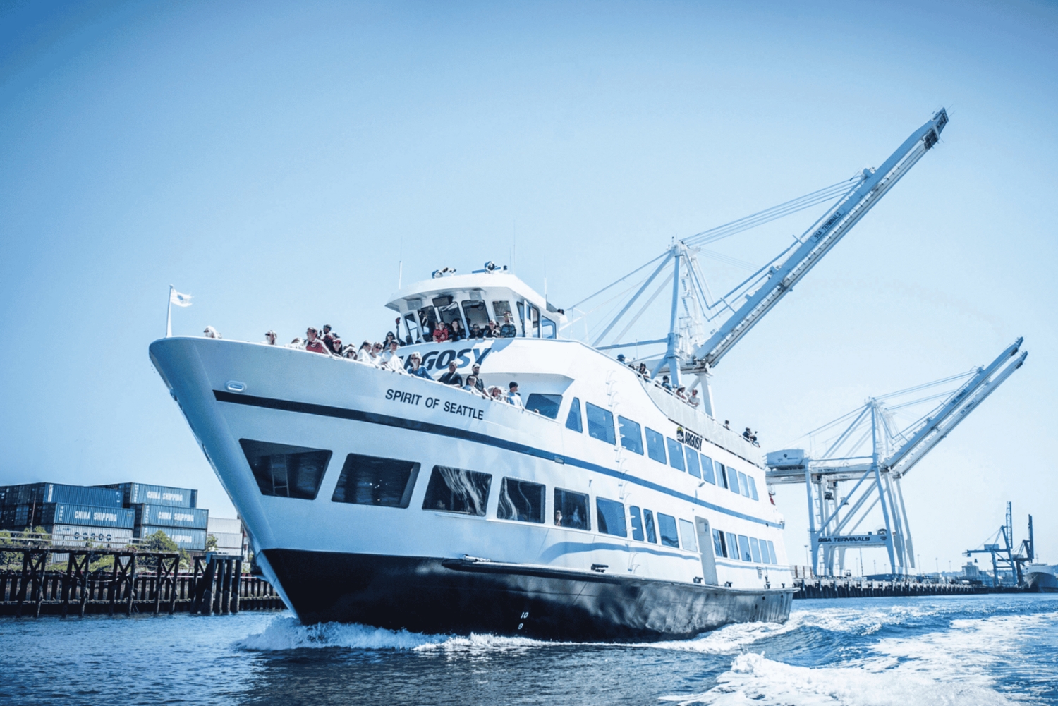 Seattle: Cruzeiro guiado no porto