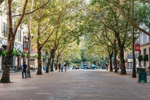 Seattle: Guidet underjordisk spasertur