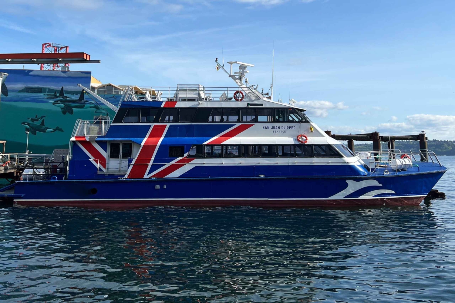 Seattle: Halve dag wildlife en walvistour