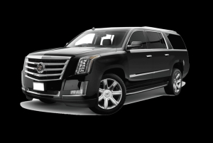 Seattle: Kingdome Transport