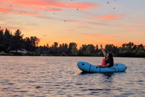 Seattle: wycieczka kajakowa po jeziorze Union — małe grupy, wspaniałe widoki
