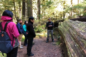 シアトル：レーニア山のロングマイヤー冬の 1 日ツアー