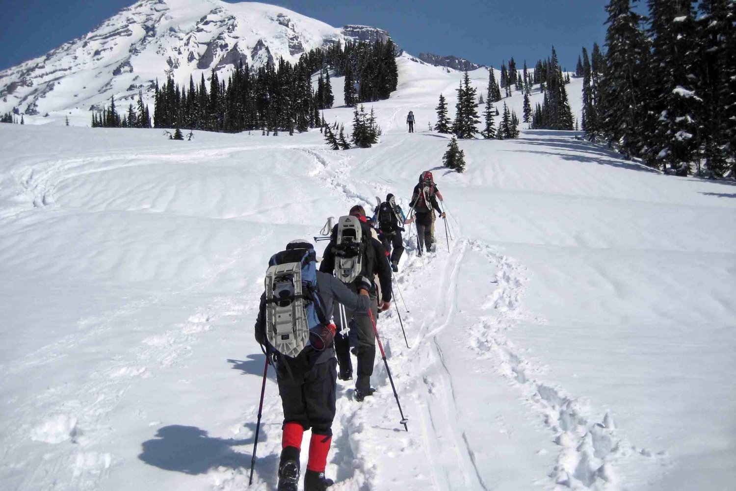シアトル：マウント・レーニア公園オールインクルーシブ小グループツアー