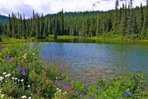 シアトル：マウント・レーニア公園オールインクルーシブ小グループツアー