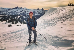 シアトル：マウント・レーニア公園オールインクルーシブ小グループツアー